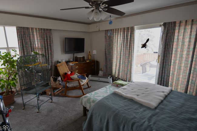 carpeted bedroom with a ceiling fan, ornamental molding, multiple windows, and access to exterior | Image 15