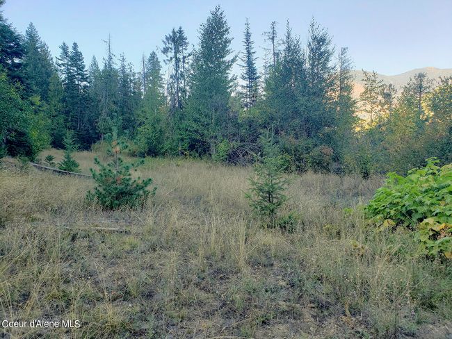 18 Majestic Mountain Rd, Home with 0 bedrooms, 0 bathrooms and null parking in Clark Fork ID | Image 8