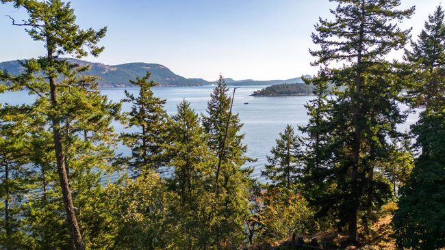 1456 Nose Point Road, House other with 5 bedrooms, 3 bathrooms and 3 parking in Salt Spring Island BC | Image 3