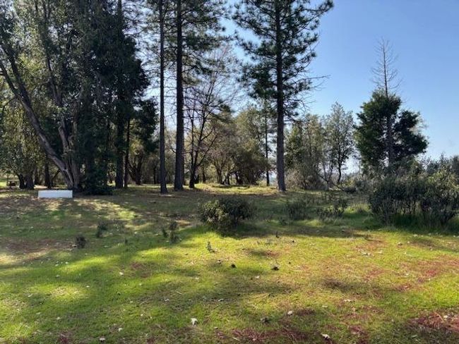19292 Shawnee Trl, Home with 0 bedrooms, 0 bathrooms and null parking in Mokelumne Hill CA | Image 13