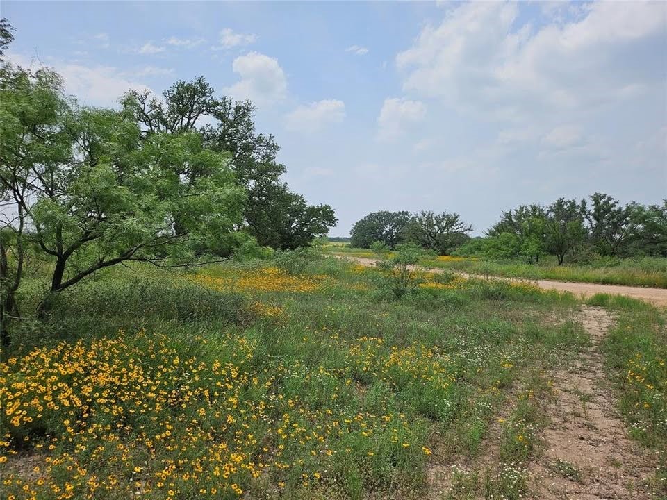Land in Mason 3