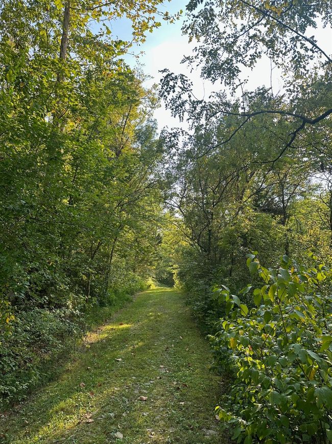 3896 Long Run Rd, Home with 3 bedrooms, 3 bathrooms and null parking in Vevay IN | Image 69