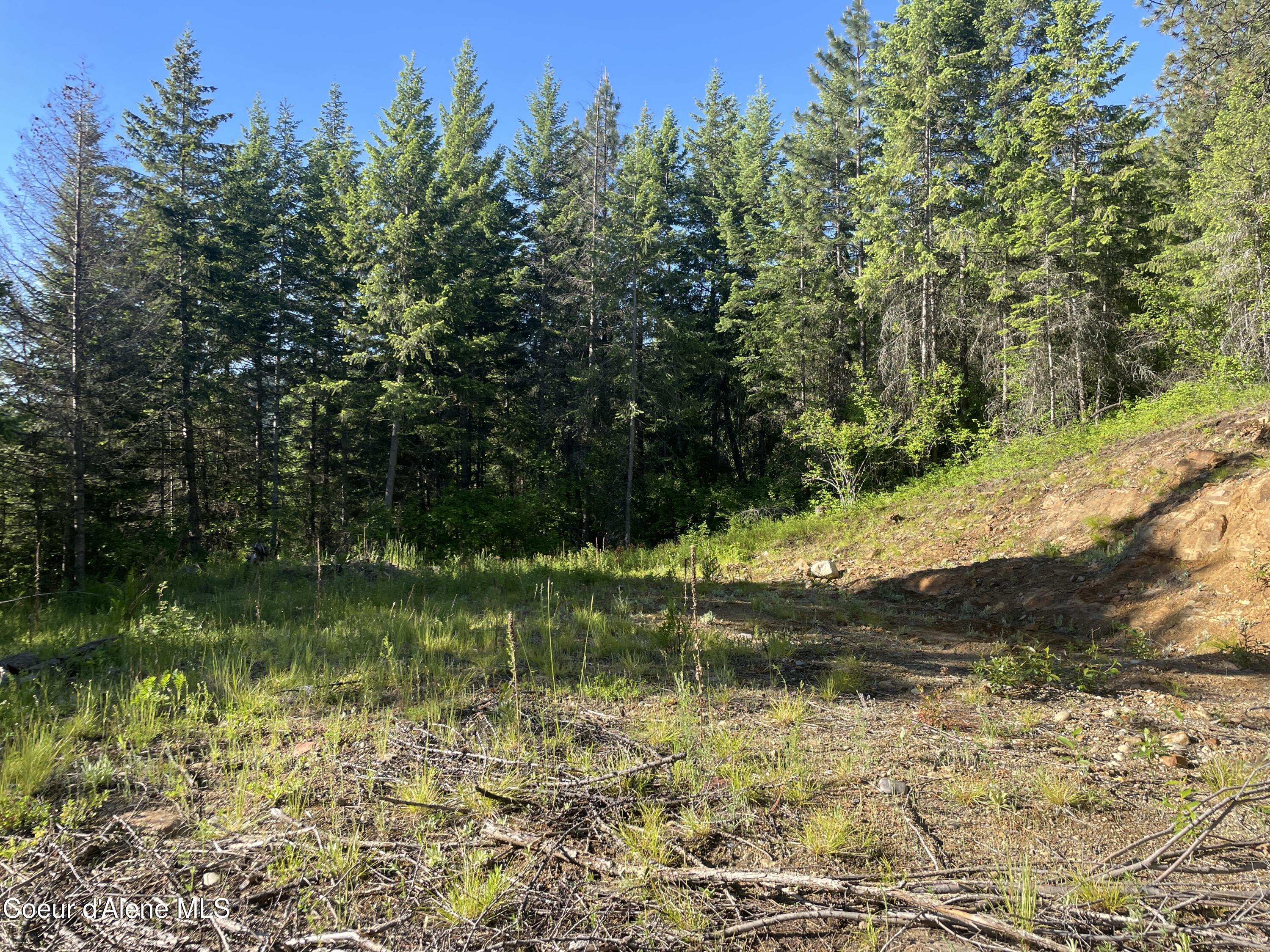 Land in Priest River 3