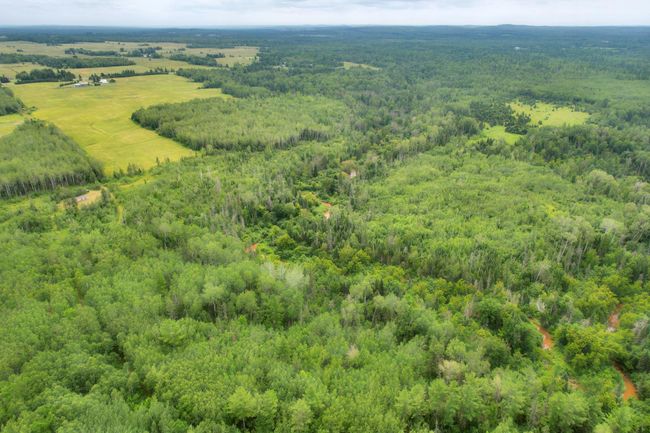 16499 Hwy 45, Home with 0 bedrooms, 0 bathrooms and null parking in Bruce Crossing MI | Image 37
