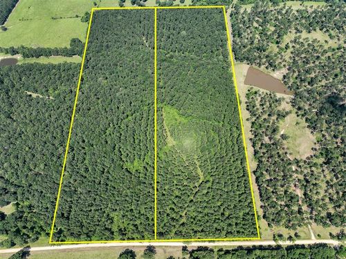 2 Fodice 2 Rd, Groveton, TX, 75845 | Card Image