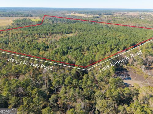 1 Henry Moxley Rd, Cobbtown, GA, 30420-3109 | Card Image