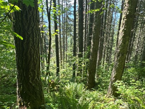 0 Us Highway 12, Glenoma, WA, 98336 | Card Image