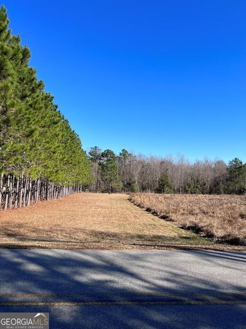 1-520 Limestone St, Mount Vernon, GA, 30445-3043 | Card Image