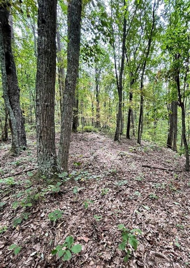 1138 Embry Ct, Home with 0 bedrooms, 0 bathrooms and null parking in Ranger GA | Image 6
