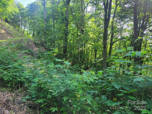 57-400 Mountain Laurel Rd, Maggie Valley, NC, 28751 | Card Image