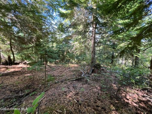 520 Alpine Dr, Fernwood, ID, 83830 | Card Image