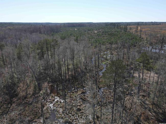 00 Highway 278 Highway, Home with 0 bedrooms, 0 bathrooms and null parking in Rosston AR | Image 8