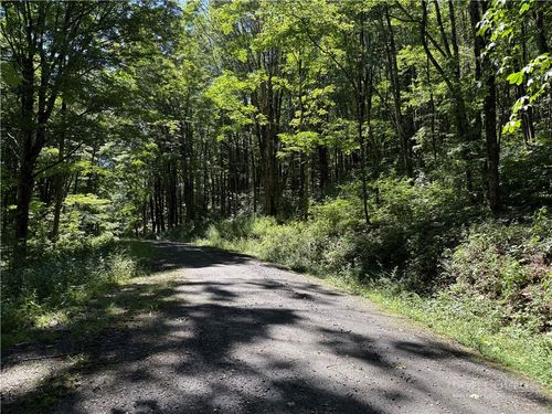 7 Wolfsbane Trl, Todd, NC, 28684 | Card Image