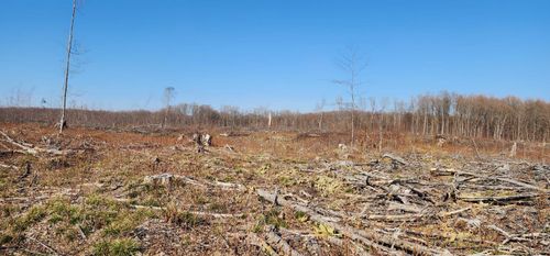 VL 40 Acres Mockingbird, Clearwater Township, MI, 49646 | Card Image