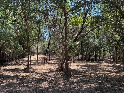 335 S Ash Ave, Azle, TX, 76020-3703 | Card Image