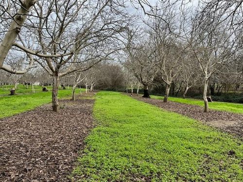 27436 County Road 91a, Winters, CA, 95694-9757 | Card Image