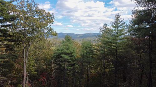 LOT 11 Self Mountain Rd, Blairsville, GA, 30512 | Card Image