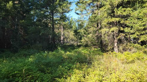 612 Overlook Dr, Newport, WA, 99156 | Card Image