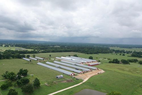12470 Jim Devault Rd, Farmington, AR, 72730-9793 | Card Image