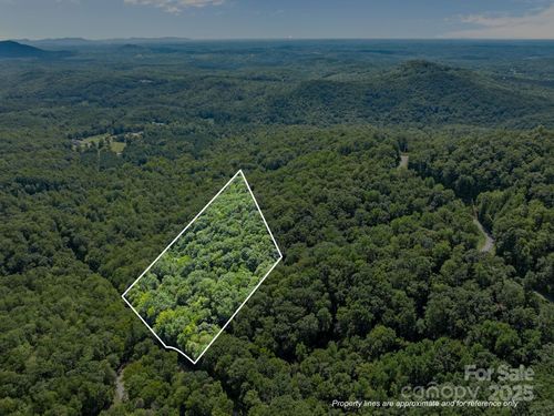 487-0000 Peartree Dr, Lake Lure, NC, 28746 | Card Image