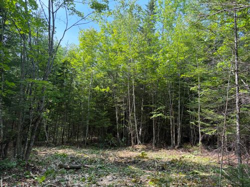 Lot 5 Holley Rd, Farmington, ME, 04938 | Card Image