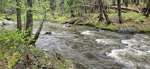 844 Shingle Mill Drive, New Vineyard, ME, 04956 | Card Image