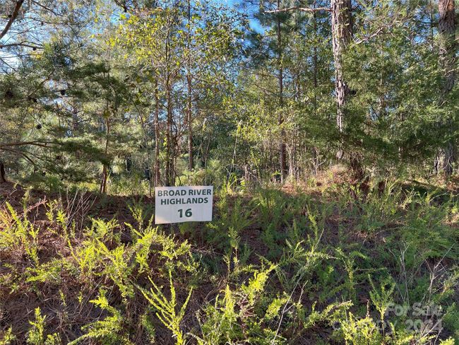 111 River View Dr, Home with 0 bedrooms, 0 bathrooms and null parking in Mooresboro NC | Image 12