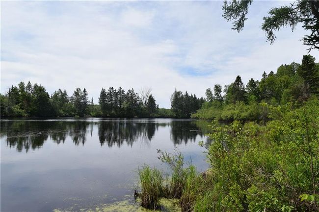 N9197 Fedyn Rd, House other with 4 bedrooms, 3 bathrooms and null parking in LADYSMITH WI | Image 27