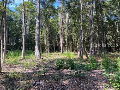 51 Mary Smalls Rd, Saint Helena Island, SC, 29920-6001 | Card Image