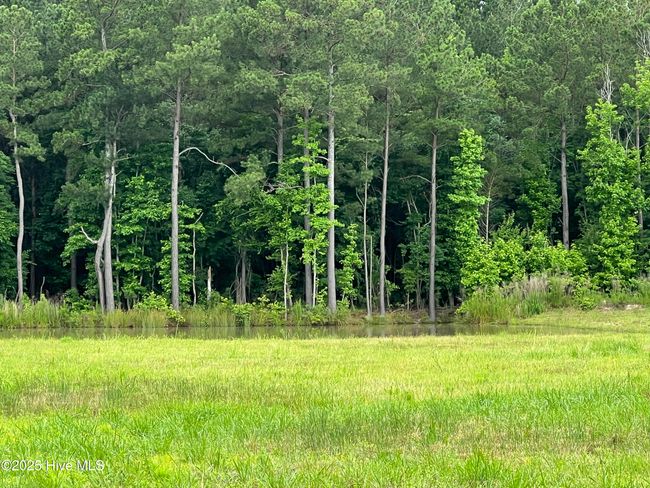 3330 Mccaskey Rd, Home with 0 bedrooms, 0 bathrooms and null parking in Williamston NC | Image 6