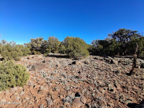 0202 County Road, Concho, AZ, 85924 | Card Image