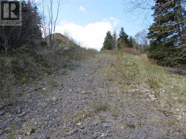 37-41 A Conception Bay Highway, Home with 0 bedrooms, 0 bathrooms and null parking in Harbour Main NL | Image 6