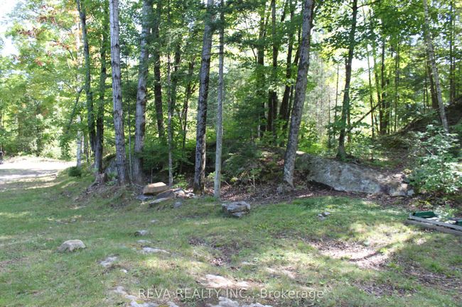 1173 Fortesque Lake Rd, Home with 0 bedrooms, 0 bathrooms and 5 parking in Gooderham ON | Image 8