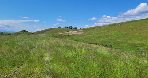 164 Grassy Loop, Eureka, MT, 59917-1010 | Card Image