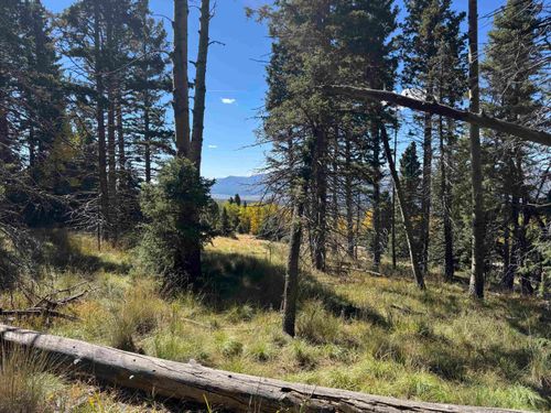 Lot 1264 Starlight Overlook, Angel Fire, NM, 87710 | Card Image