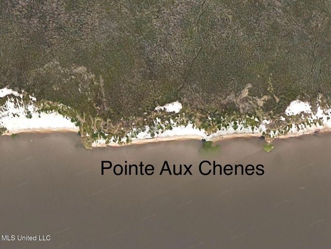 Pt Aux Chenes | Image 14