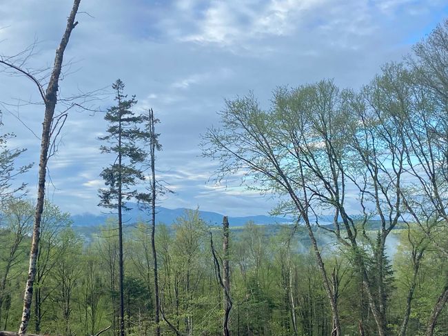 1180 Abbott Hill Rd, Home with 0 bedrooms, 0 bathrooms and null parking in West Burke VT | Image 22