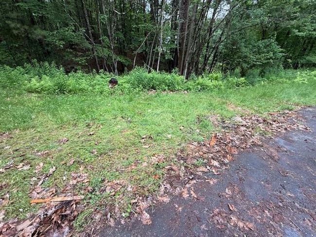 224 E Dunbarton Rd, House other with 3 bedrooms, 1 bathrooms and null parking in Goffstown NH | Image 9