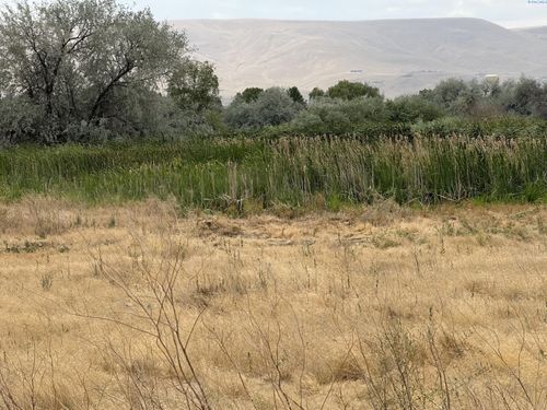 TBD Patricia Rd, Prosser, WA, 99350 | Card Image