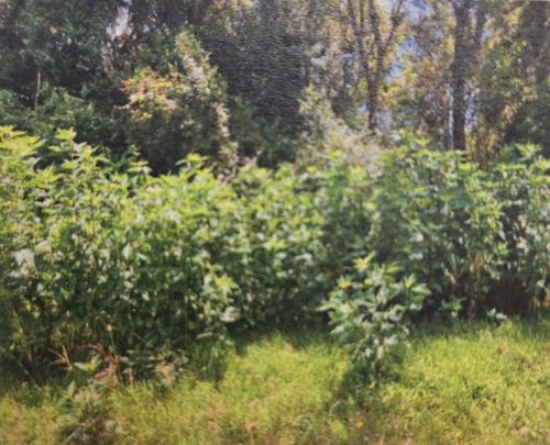 120 Alabama, Liberty, TX, 77575 | Card Image