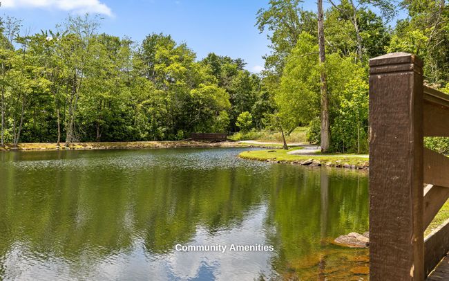 7258 Grey Hawk Trl, House other with 4 bedrooms, 3 bathrooms and null parking in Signal Mountain TN | Image 68