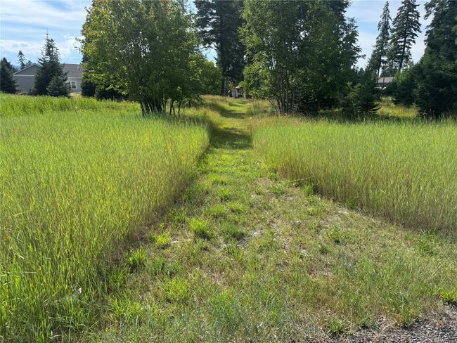 HOA Green Space Walking Paths | Image 28