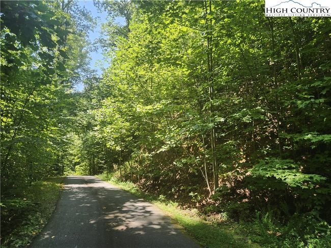 25 - 301 Bear Track Ln, Home with 0 bedrooms, 0 bathrooms and null parking in Lenoir NC | Image 18