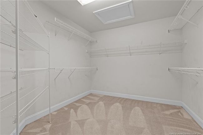 Photo 21 | Image 21