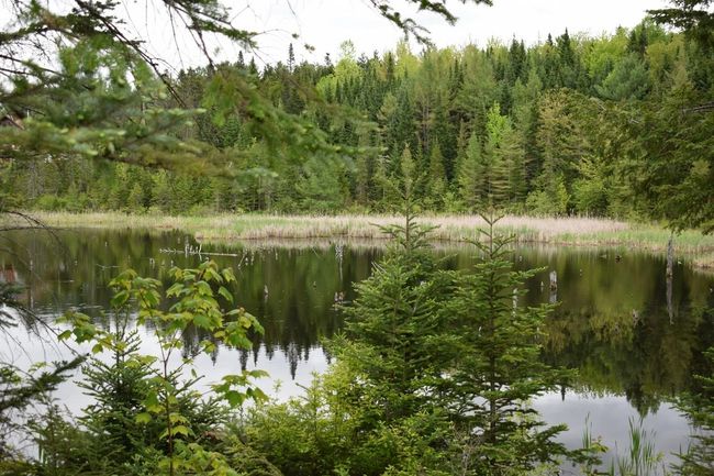 364 Route 3 S, Home with 0 bedrooms, 10 bathrooms and null parking in Twin Mountain NH | Image 54