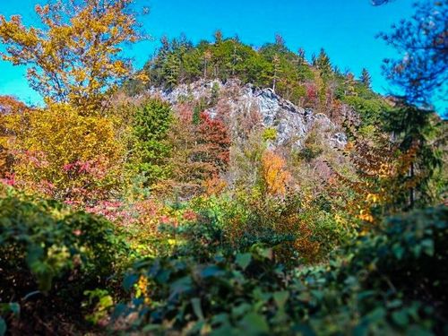 00 Churchville Rd, Hancock, VT, 05748 | Card Image