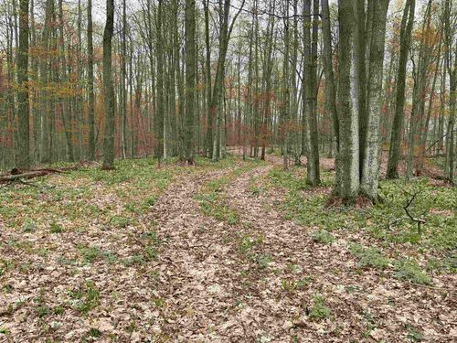 20 Acres Zimmerman Road, Clearwater Township, MI, 49676 | Card Image