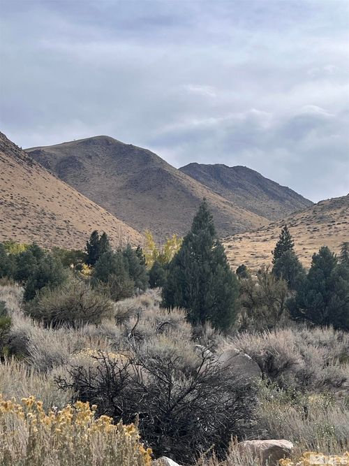 10 Mill Creek Dr, Coleville, CA, 96107-9798 | Card Image