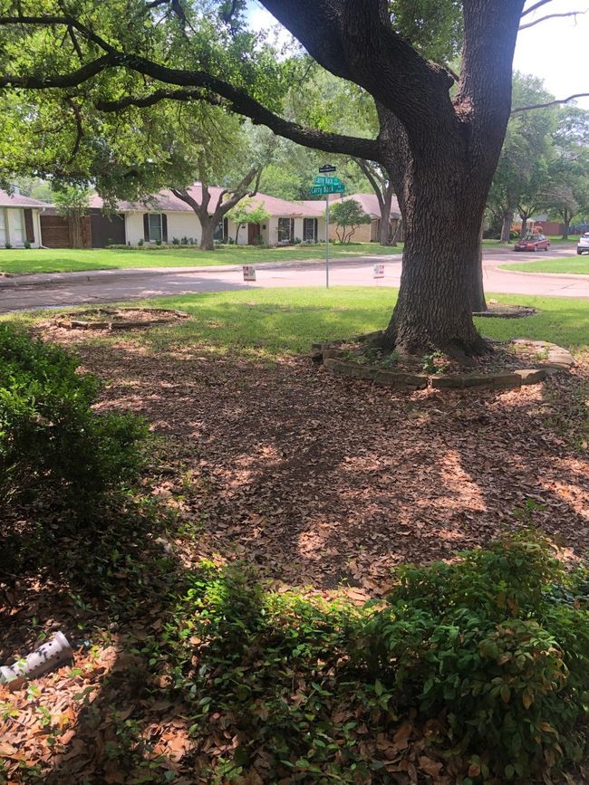 10427 Carry Back Pl, House other with 3 bedrooms, 2 bathrooms and null parking in Dallas TX | Image 5