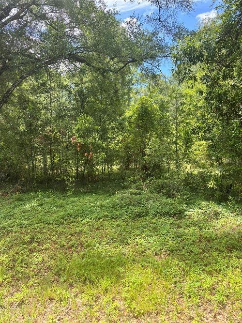 8230 Nw 166th St, FANNING SPRINGS, FL, 32693-7528 | Card Image